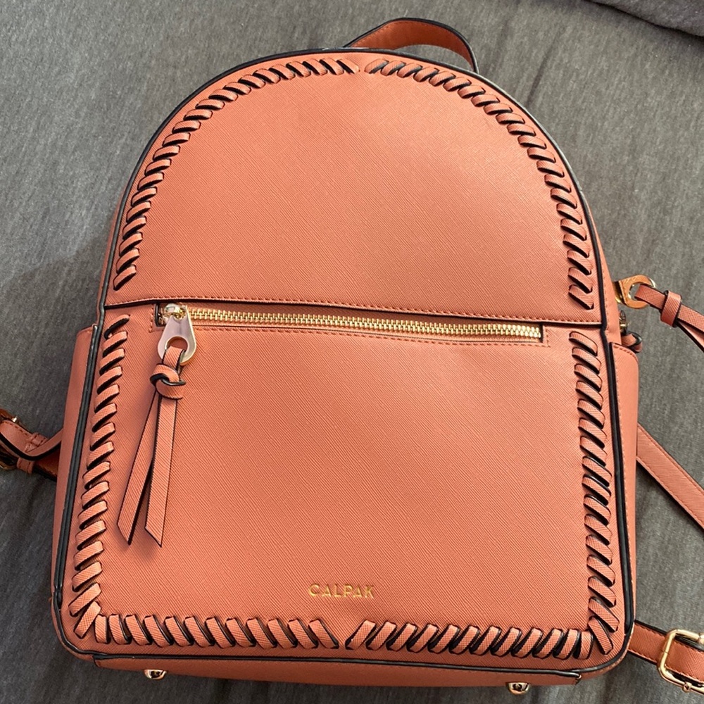 Calpak Kaya travel backpack